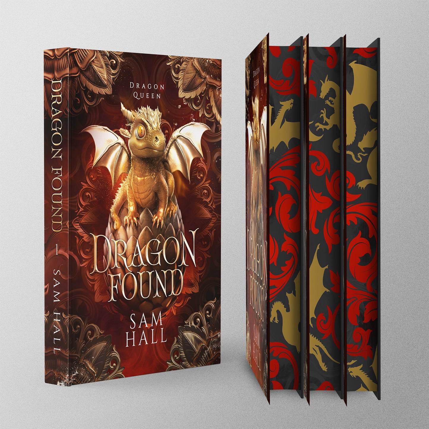 Book titled 'Dragon Found' by Sam Hall with dragon illustrations on a gray background