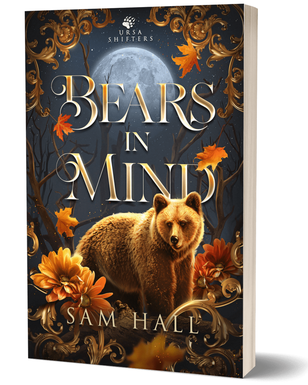 Book cover of 'Bears in Mind' by Sam Hall with a bear and autumn leaves design.