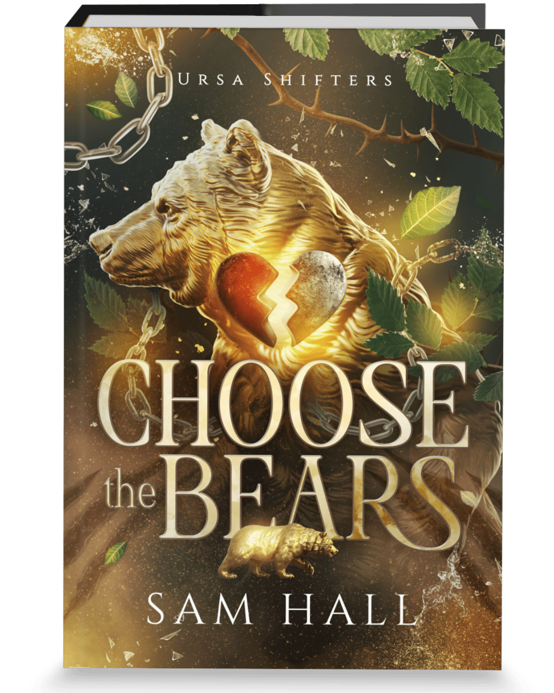 Book cover of 'Choose the Bears' by Sam Hall with a bear and chain design.