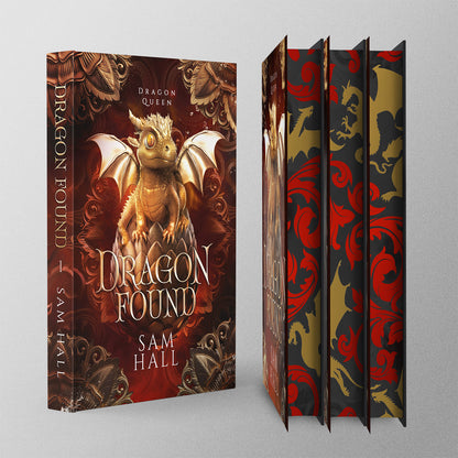 Book titled 'Dragon Found' by Sam Hall with dragon illustrations on a gray background