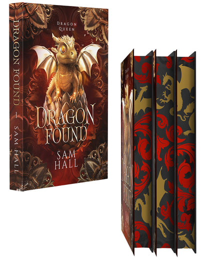 Book titled 'Dragon Found' with a dragon illustration on the cover and decorative spine.