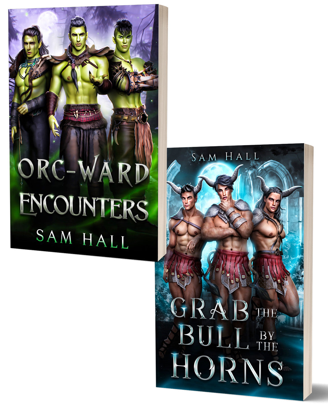 Two book covers featuring fantasy-themed illustrations with characters and text.